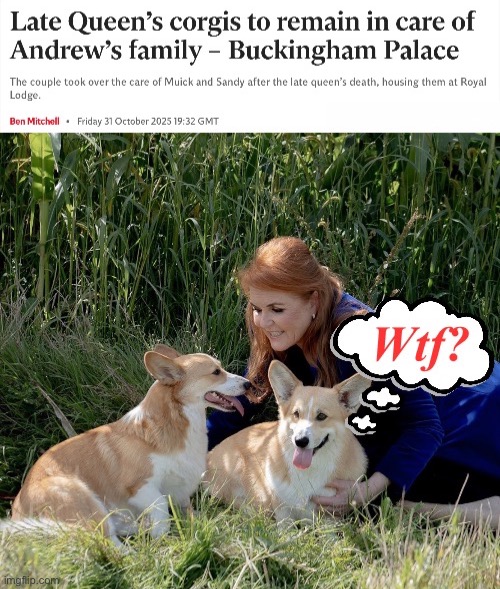 Call SPCA ASAP | image tagged in cruel and unusual punishment | made w/ Imgflip meme maker