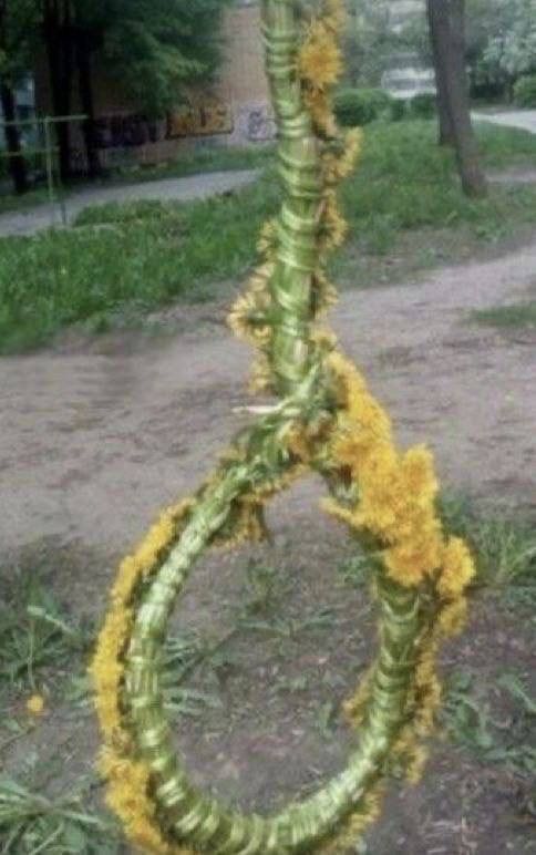 Flower hanger Blank Meme Template