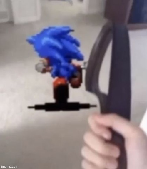 I'm going to abuse pixels | image tagged in sonic the hedgehog | made w/ Imgflip meme maker