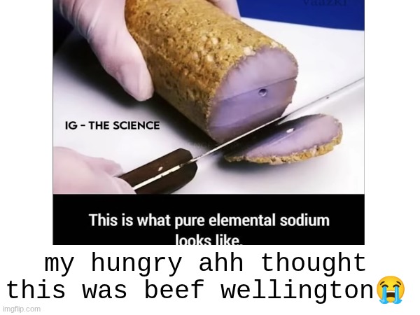 i need some food | my hungry ahh thought this was beef wellington😭 | image tagged in yes,food,i don't want to live on this planet anymore | made w/ Imgflip meme maker