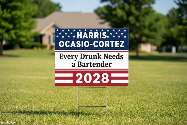 2028 | image tagged in political,reposts,2028 | made w/ Imgflip meme maker