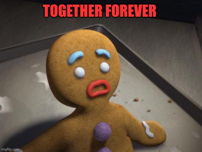 Gingerbread man | TOGETHER FOREVER | image tagged in gingerbread man | made w/ Imgflip meme maker