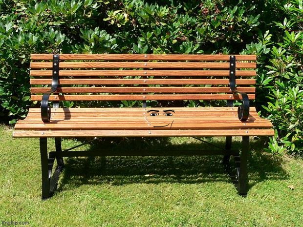 You've Been Benched | image tagged in you've been benched | made w/ Imgflip meme maker