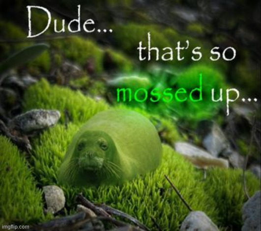 holy dead chat | made w/ Imgflip meme maker