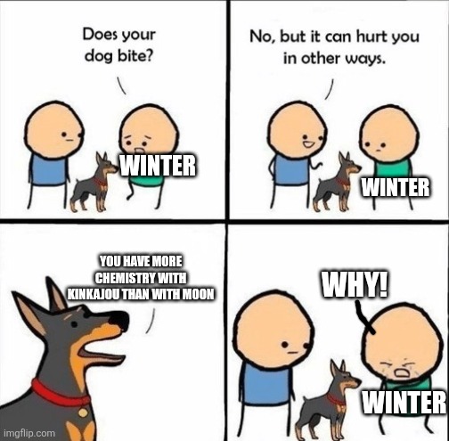 does your dog bite | WINTER; WINTER; YOU HAVE MORE CHEMISTRY WITH KINKAJOU THAN WITH MOON; WHY! WINTER | image tagged in does your dog bite | made w/ Imgflip meme maker