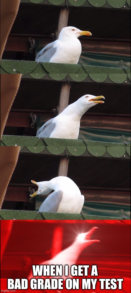 Inhaling Seagull | WHEN I GET A BAD GRADE ON MY TEST | image tagged in memes,inhaling seagull | made w/ Imgflip meme maker