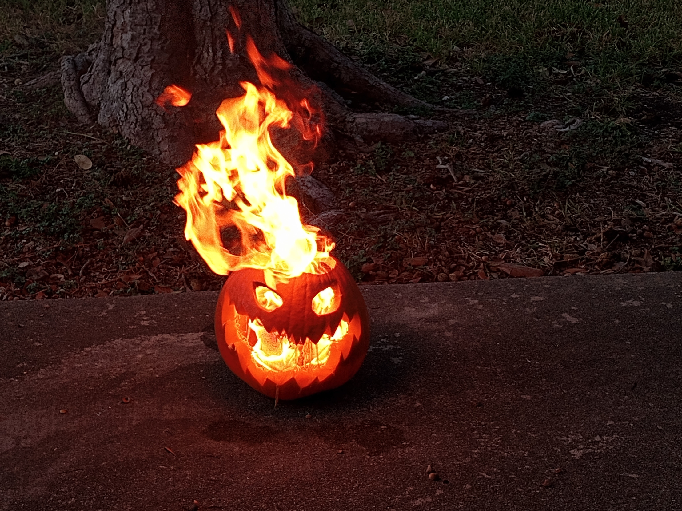 Jack-O-flames Blank Meme Template