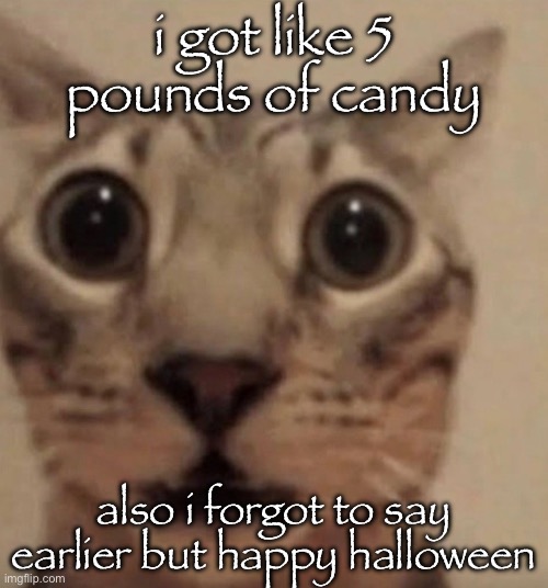 randy | i got like 5 pounds of candy; also i forgot to say earlier but happy halloween | image tagged in scared cat | made w/ Imgflip meme maker