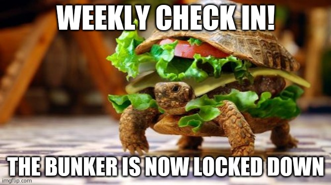 also ,how was your halloween? | WEEKLY CHECK IN! THE BUNKER IS NOW LOCKED DOWN | image tagged in tortoise samwich | made w/ Imgflip meme maker