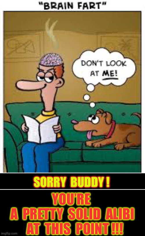 It’s Plausible ! . . . As A Last Resort !!  DEFINITELY !!!  : ) | SORRY  BUDDY ! YOU’RE 
A  PRETTY  SOLID  ALIBI
  AT  THIS  POINT !!! | image tagged in brain fart | made w/ Imgflip meme maker
