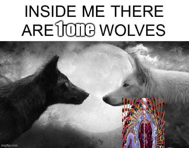 My wolfs meemer | 1 one | image tagged in inside me there are two wolves | made w/ Imgflip meme maker