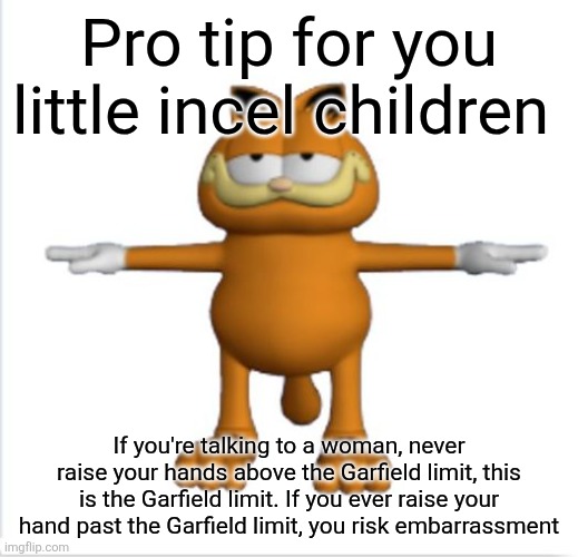 garfield t-pose | Pro tip for you little incel children; If you're talking to a woman, never raise your hands above the Garfield limit, this is the Garfield limit. If you ever raise your hand past the Garfield limit, you risk embarrassment | image tagged in garfield t-pose | made w/ Imgflip meme maker