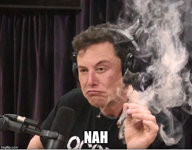 Elon Musk smoking a joint | NAH | image tagged in elon musk smoking a joint | made w/ Imgflip meme maker
