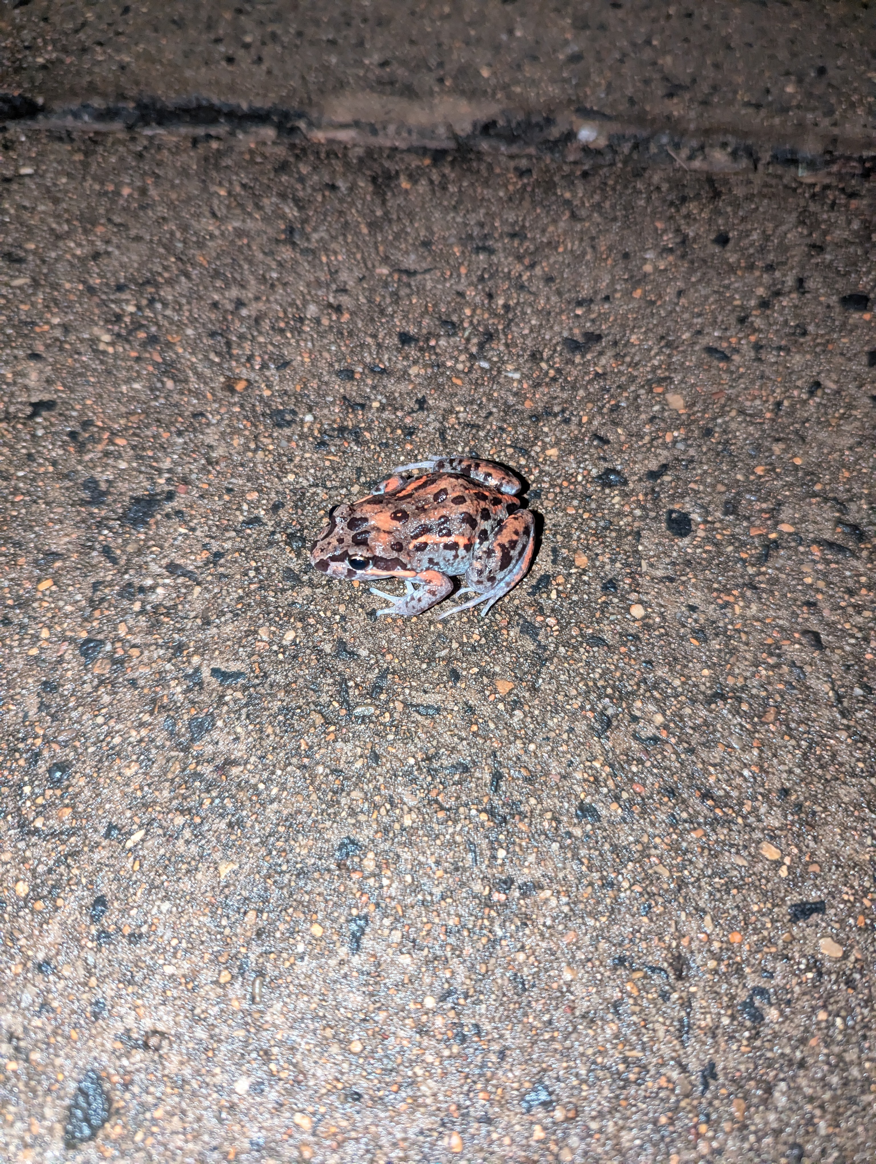 I was walking around at 11:30 at night and saw this | made w/ Imgflip meme maker