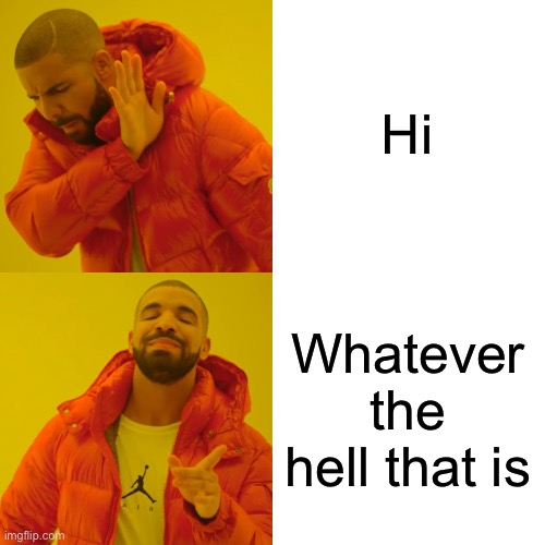 Drake Hotline Bling Meme | Hi Whatever the hell that is | image tagged in memes,drake hotline bling | made w/ Imgflip meme maker