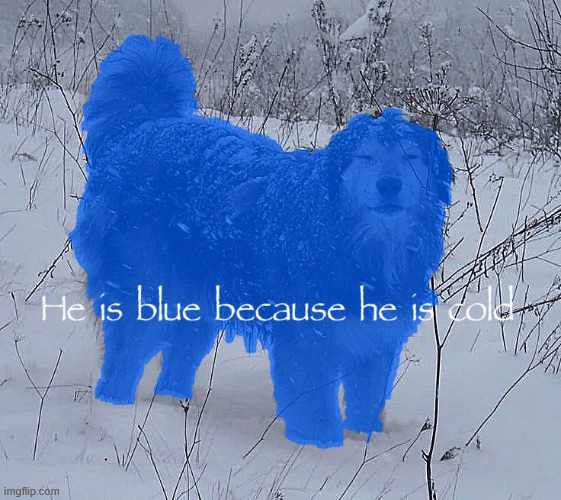 it was chilly this hally | made w/ Imgflip meme maker