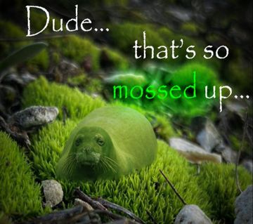 that's so mossed up Blank Meme Template