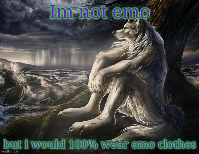 Y'alls fights are fire as Hell ngl | Im not emo; but i would 100% wear emo clothes | image tagged in sitting wolf | made w/ Imgflip meme maker