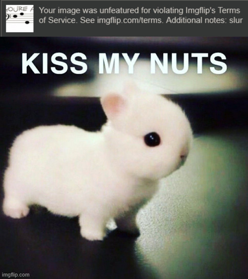 one of these mods HAS to be targeting me wtaf | image tagged in kiss my nuts | made w/ Imgflip meme maker