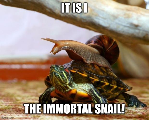 snail on a turtle | IT IS I; THE IMMORTAL SNAIL! | image tagged in snail on a turtle | made w/ Imgflip meme maker