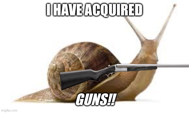 SNAIL | I HAVE ACQUIRED; GUNS!! | image tagged in snail | made w/ Imgflip meme maker
