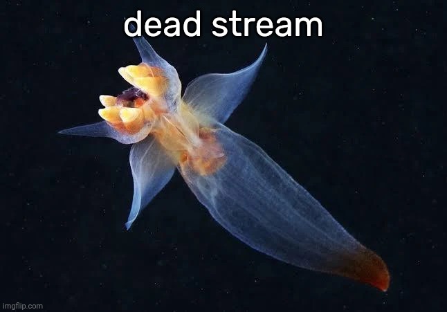 HLEHHHH BLEHHHH | dead stream | image tagged in hlehhhh blehhhh | made w/ Imgflip meme maker