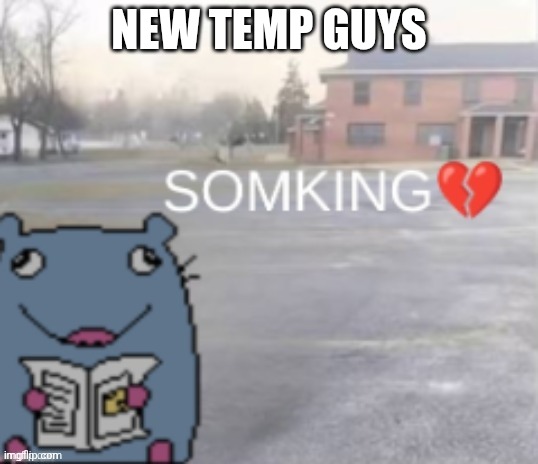 Somking? | NEW TEMP GUYS | image tagged in somking | made w/ Imgflip meme maker