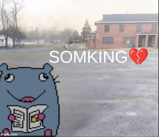 somking | image tagged in somking | made w/ Imgflip meme maker