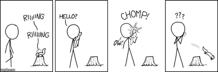 "After a while, the squirrel starts making that beeping noise and doesn't stop until it hops back up onto the stump." | image tagged in squirrel,phone,ring,bite,chomp,ouch | made w/ Imgflip meme maker