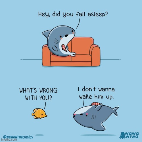 image tagged in shark,fish,fall,asleep,sleeping,upside-down | made w/ Imgflip meme maker