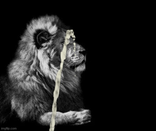 the lion.. | made w/ Imgflip meme maker