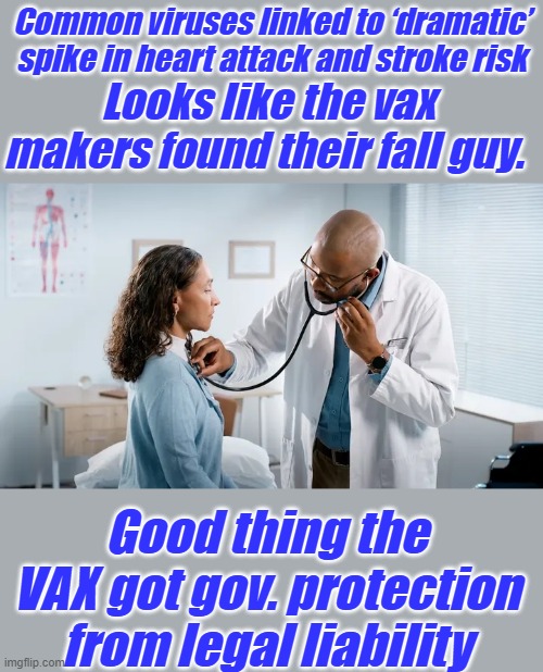 Common viruses linked to ‘dramatic’ spike in heart attack and stroke risk; Looks like the vax makers found their fall guy. Good thing the VAX got gov. protection from legal liability | made w/ Imgflip meme maker