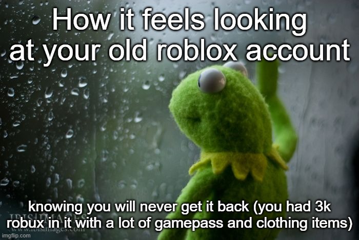 This happened to me | How it feels looking at your old roblox account; knowing you will never get it back (you had 3k robux in it with a lot of gamepass and clothing items) | image tagged in kermit window | made w/ Imgflip meme maker