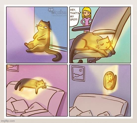 #4 (All credit to CatsuTheCat on boredpanda.com) | image tagged in catsuthecat,sun,light,cats,sleep,relax | made w/ Imgflip meme maker