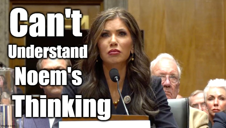 Kristi Noem - let's call the puppy killer what she is | Can't; Understand; Noem's; Thinking | image tagged in ice,ice barbie,maga,immigration,trump | made w/ Imgflip meme maker