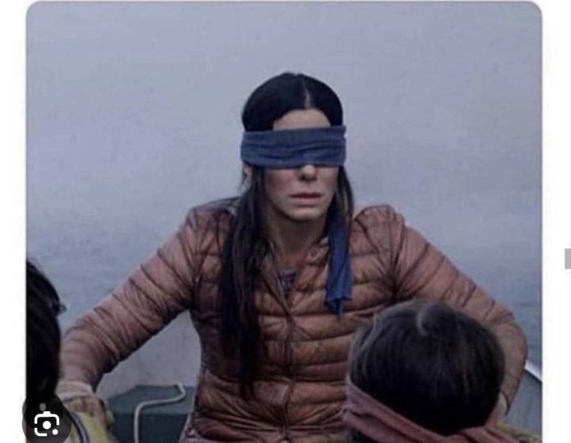 Bird box Blank Meme Template