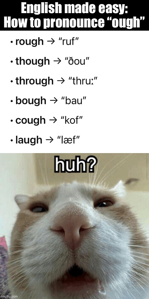 EME: How to pronounce “ough” | English made easy:
How to pronounce “ough” | image tagged in english made easy,huh,funny,memes,cats,cat | made w/ Imgflip meme maker