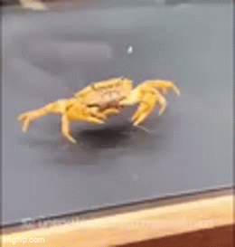 Rip Fish Meme rip - Imgflip