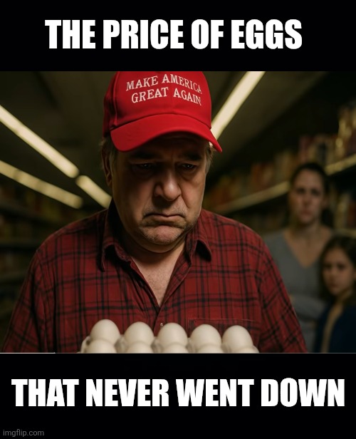 Black background | THE PRICE OF EGGS THAT NEVER WENT DOWN | image tagged in black background | made w/ Imgflip meme maker