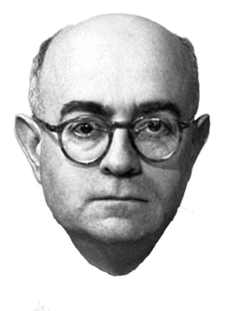 Adorno face Blank Meme Template