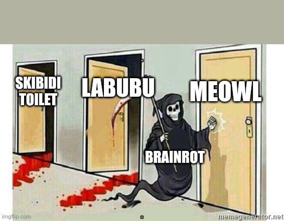 Brainrot cycle | MEOWL; LABUBU; SKIBIDI TOILET; BRAINROT | image tagged in grim reaper knocking door,funny memes,funny,lol,awareness,brainrot | made w/ Imgflip meme maker