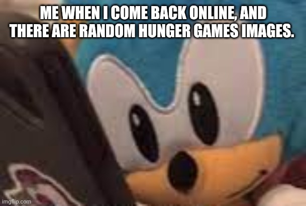 classic sonic phone | ME WHEN I COME BACK ONLINE, AND THERE ARE RANDOM HUNGER GAMES IMAGES. | image tagged in classic sonic phone | made w/ Imgflip meme maker