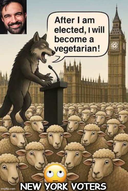 What is wrong with you people? Outta your minds! | NEW YORK VOTERS | image tagged in radical,crazy,democratic socialism,communist socialist,what is wrong with you,mamdani | made w/ Imgflip meme maker