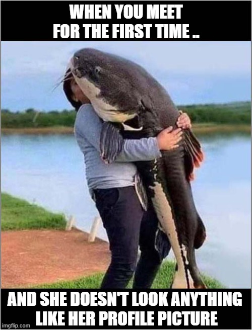 Internet Dating Disappointment | WHEN YOU MEET FOR THE FIRST TIME .. AND SHE DOESN'T LOOK ANYTHING 
LIKE HER PROFILE PICTURE | image tagged in internet dating,disappointment,profile picture,lies,catfishing | made w/ Imgflip meme maker