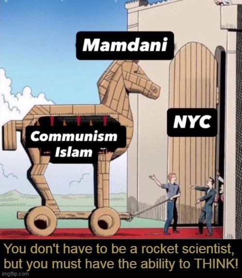 PROOF (once again) that Liberalism is a Mental Disorder | You don't have to be a rocket scientist, 
but you must have the ability to THINK! | image tagged in mamdani,nyc,liberalism,mental illness,democrats,communist socialist | made w/ Imgflip meme maker