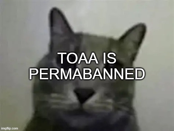 AAAAAAAAAAAAAAAAAAAAAAAAAAAHHHHHHHHHHHHHHHHHHHHHHHHHHHHHHHHHHHHHHHHHHHH *fucking dying of joy* | TOAA IS PERMABANNED | image tagged in yo got games on yo phone,ralsei of topic | made w/ Imgflip meme maker