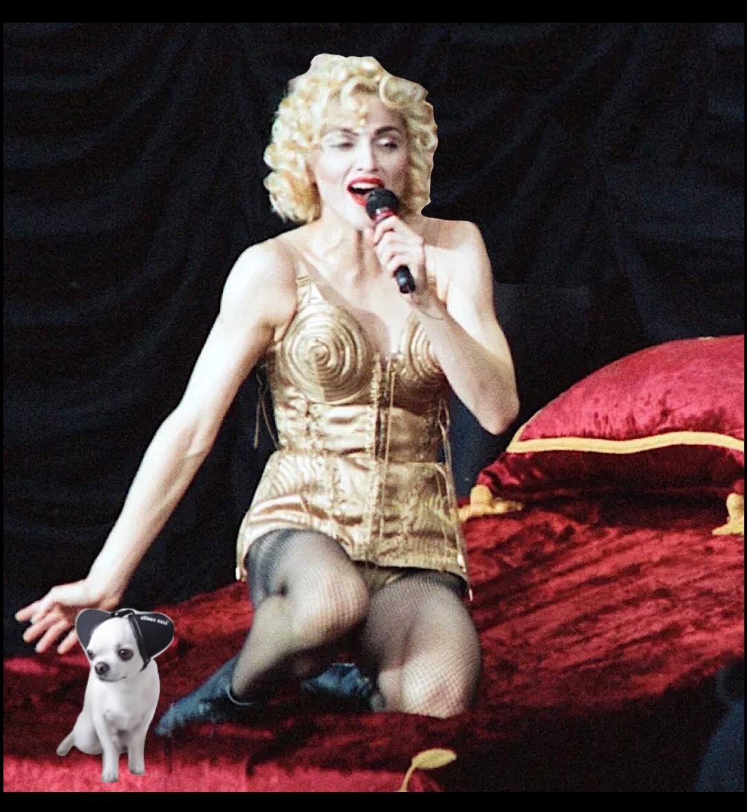 Support Blank Meme Template