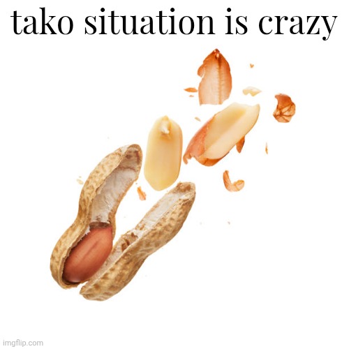 check out what he sent me in comments | tako situation is crazy | image tagged in nnn | made w/ Imgflip meme maker