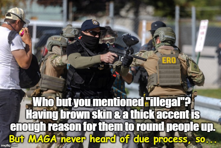 Who but you mentioned "illegal"?  Having brown skin & a thick accent is enough reason for them to round people up. But MAGA never heard of d | made w/ Imgflip meme maker