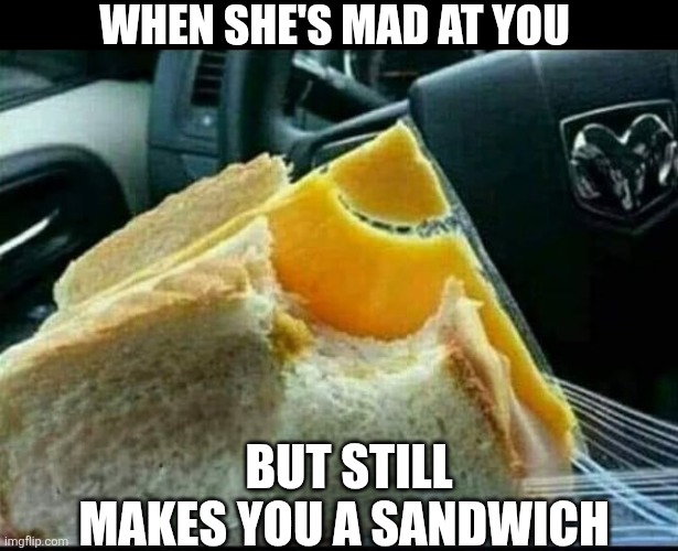 When She's Mad At You But Still Makes You A Sandwich | WHEN SHE'S MAD AT YOU; BUT STILL MAKES YOU A SANDWICH | image tagged in chris joines | made w/ Imgflip meme maker